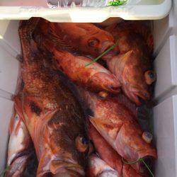 第二龍勢丸 釣果