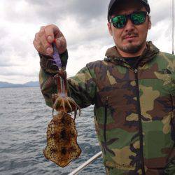 まるいち丸 ZERO-1 釣果