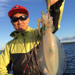 エヌスタイル 釣果