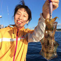 エヌスタイル 釣果