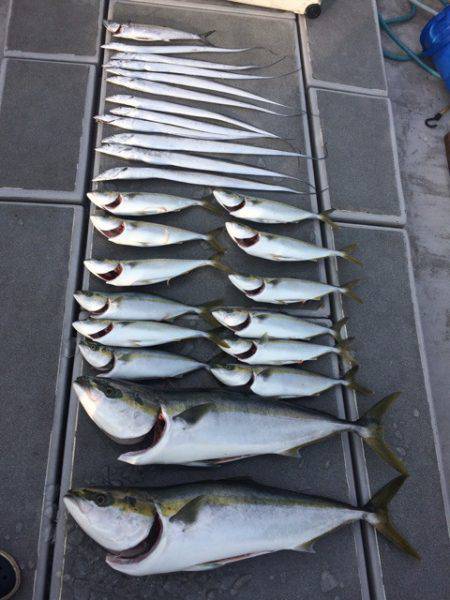 SeaRide(シーライド) 釣果