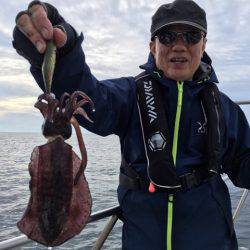 エヌスタイル 釣果