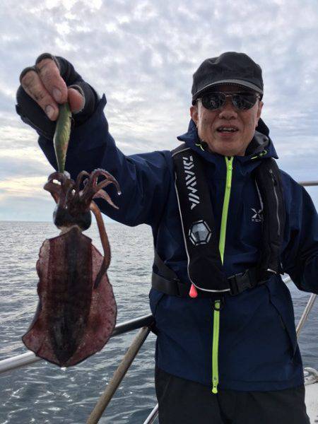 エヌスタイル 釣果