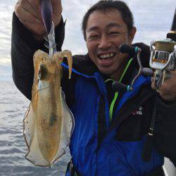 エヌスタイル 釣果