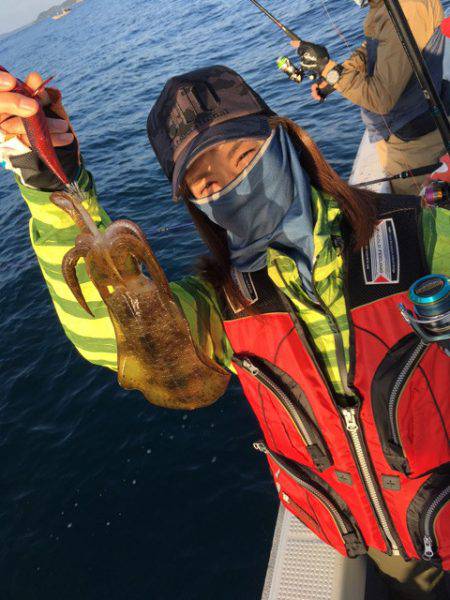 エヌスタイル 釣果