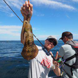 まるいち丸 ZERO-1 釣果