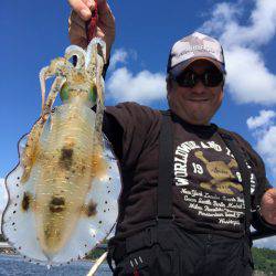 エヌスタイル 釣果