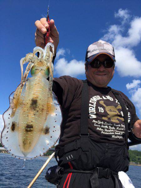 エヌスタイル 釣果