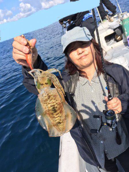 エヌスタイル 釣果