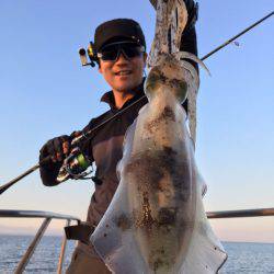 エヌスタイル 釣果