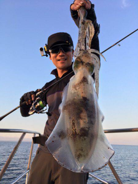エヌスタイル 釣果