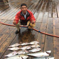 釣り堀水宝 釣果