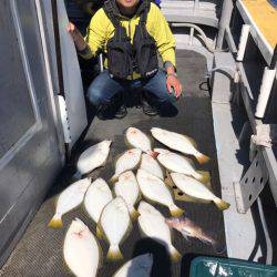 シーランチ 釣果