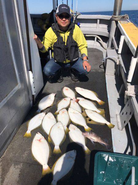 シーランチ 釣果