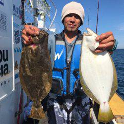 シーランチ 釣果