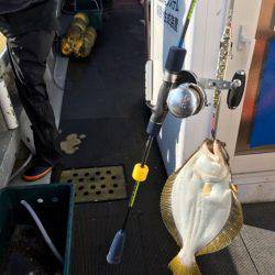 シーランチ 釣果