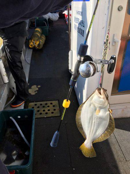 シーランチ 釣果