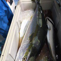 第二八坂丸 釣果