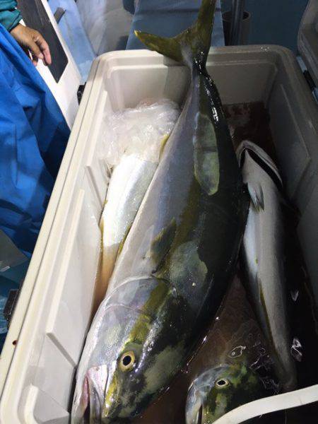 第二八坂丸 釣果