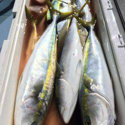 第二八坂丸 釣果