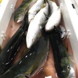 第二八坂丸 釣果