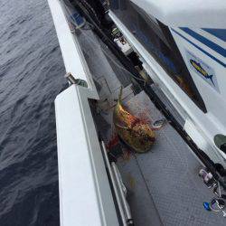 第二龍勢丸 釣果