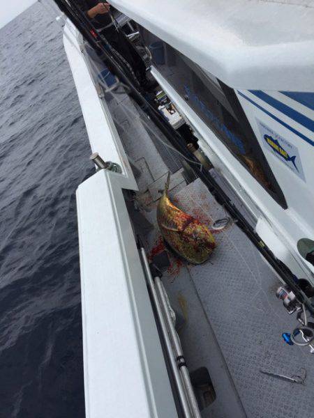 第二龍勢丸 釣果