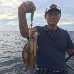 ＴＡＲＯＭＡＲＵ 釣果