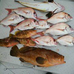 海季丸(みきまる) 釣果