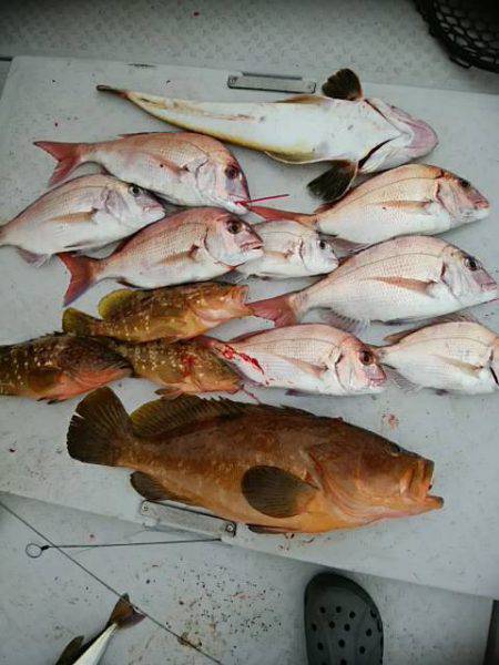 海季丸（みきまる） 釣果