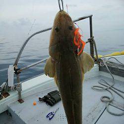 海季丸(みきまる) 釣果