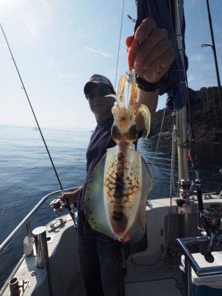 まるいち丸 ZERO-1 釣果