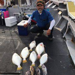 シーランチ 釣果