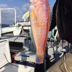 第二龍勢丸 釣果