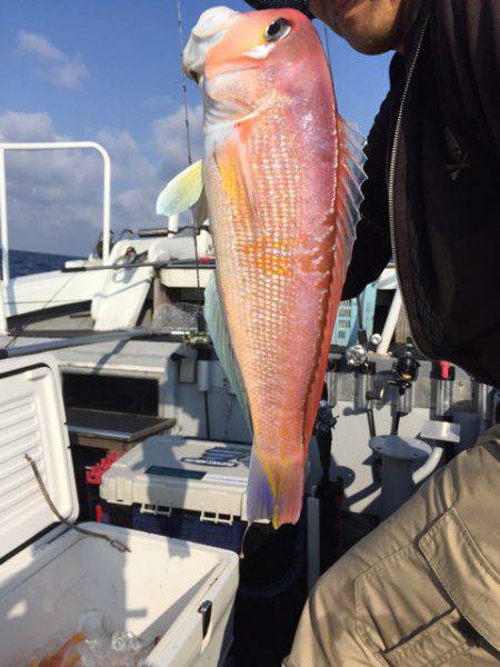 第二龍勢丸 釣果