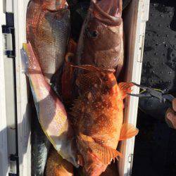 第二龍勢丸 釣果