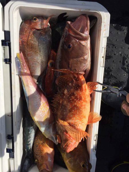 第二龍勢丸 釣果