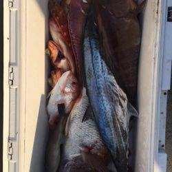 第二龍勢丸 釣果