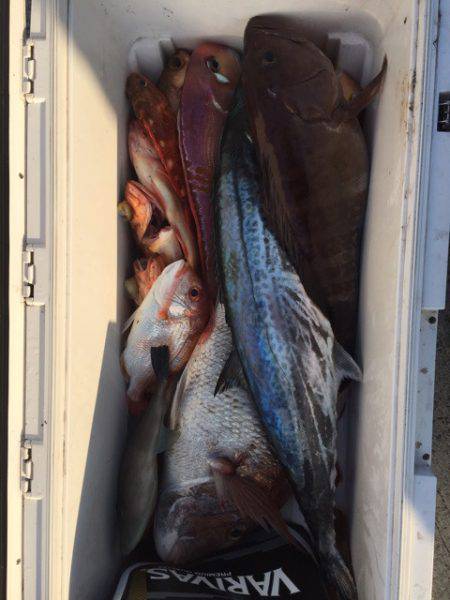 第二龍勢丸 釣果