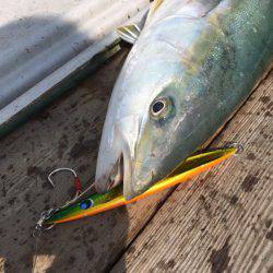 エムズジャーク（M’s JERK） 釣果