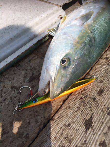 エムズジャーク（M's JERK…