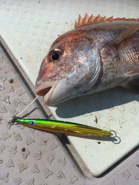 エムズジャーク（M’s JERK） 釣果