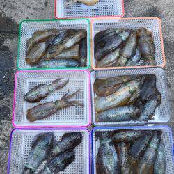 まるいち丸 ZERO-1 釣果