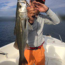 「LaGooN」蒼陽丸 日和号 釣果