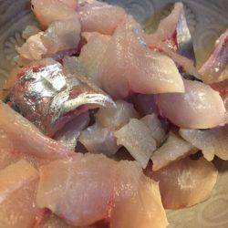 「LaGooN」蒼陽丸 日和号 釣果