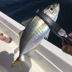 「LaGooN」蒼陽丸 日和号　 釣果