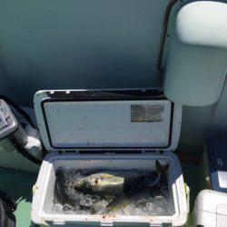 釣り堀水宝 釣果