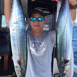 ビッグファイター 釣果