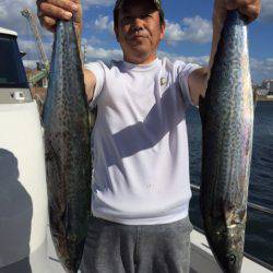 ビッグファイター 釣果