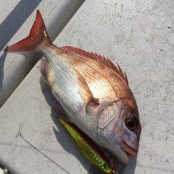 第二 海洋丸 釣果